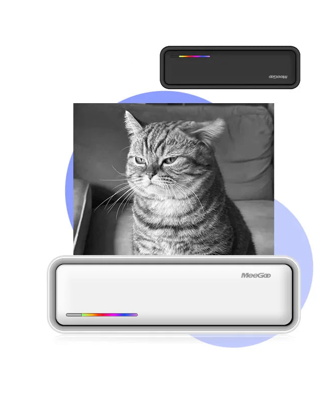 Printer